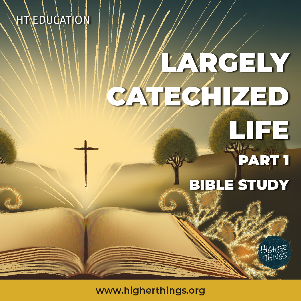 High School Bible Studies // Largely Catechized Life