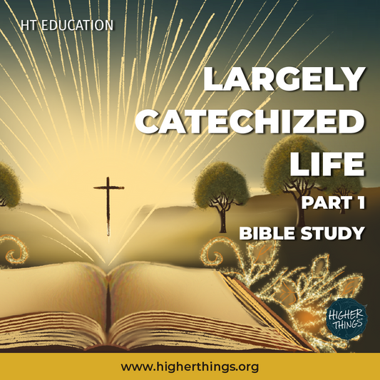 High School Bible Studies // Largely Catechized Life
